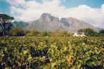 Das Weingut Boschendal im Drakensteintal.